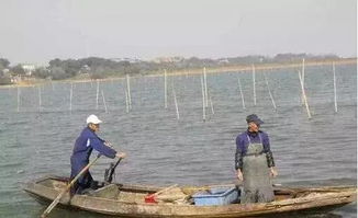 聚焦水韻江蘇 環(huán)保技術驅動，多地水污染防治成效顯著
